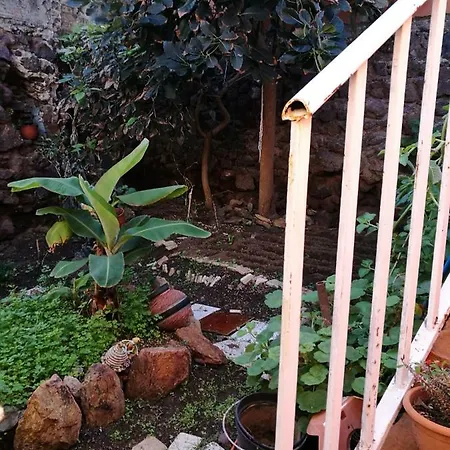 Residencia Conejos - Bike & Motorbike Homestay Las Palmas de Gran Canaria